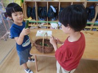 ７，１７ズッキーニの花の中身１