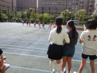 DSCN7178